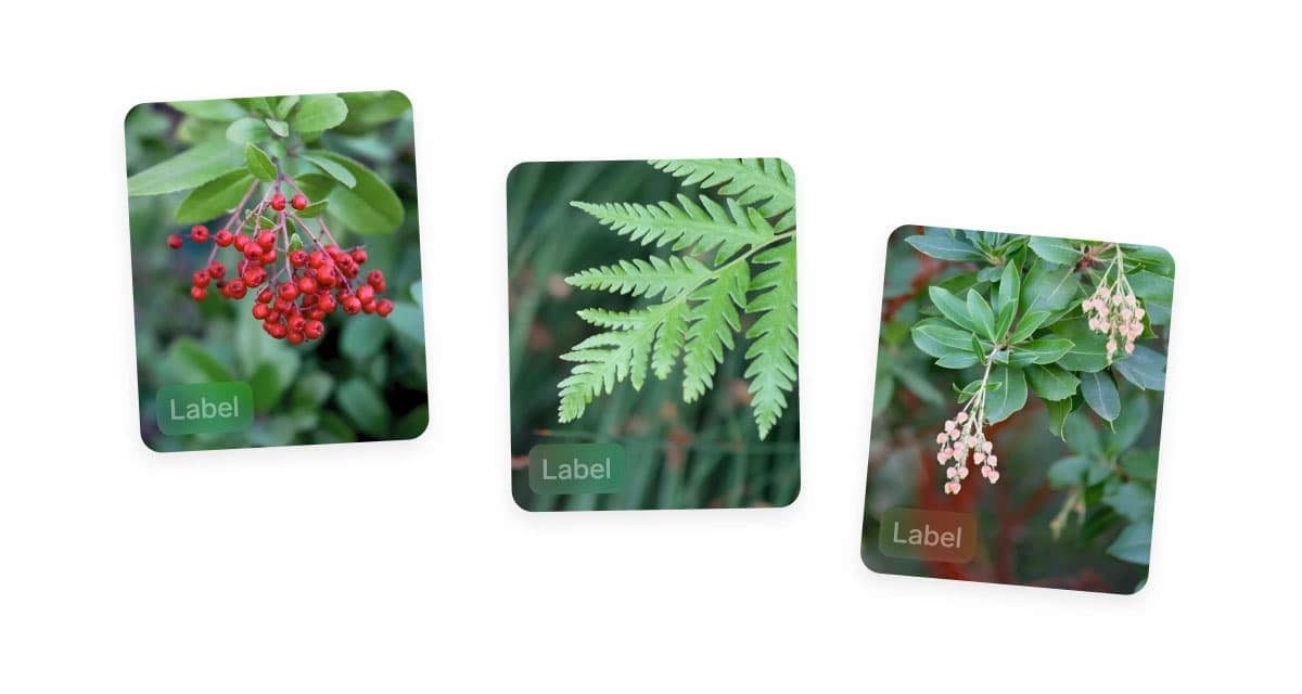 Quickly label images in Lobe by selecting an image, then typing or selecting a label.